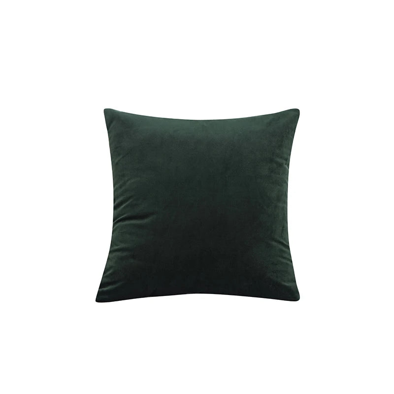 Dark green pillow on a white background