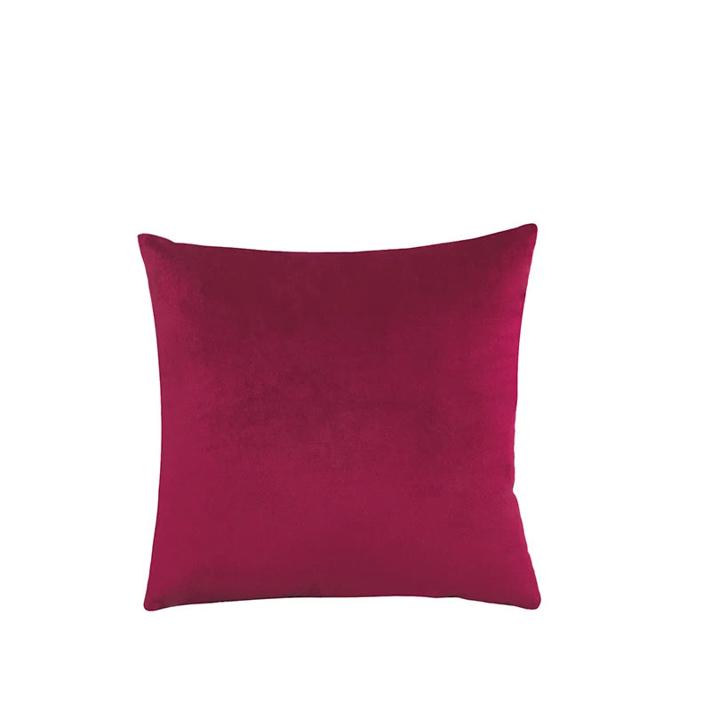Red cushion on a white background