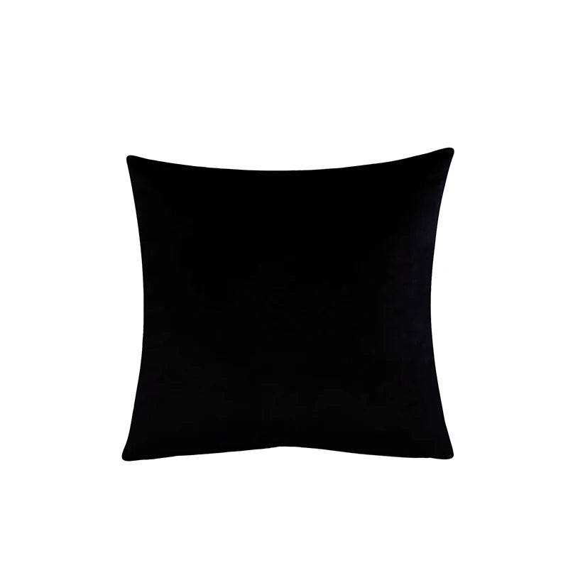 Black pillow on a white background